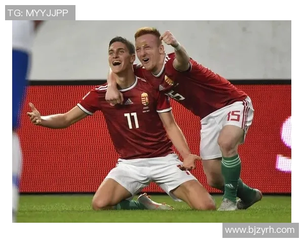 2020欧洲杯主办国的选择与影响分析及其对足球发展的启示