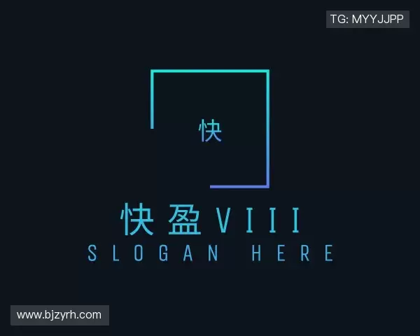 发现快盈VIII